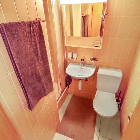 Daire Superbe Avec Parking Couvert Gratuit Crans-Montana